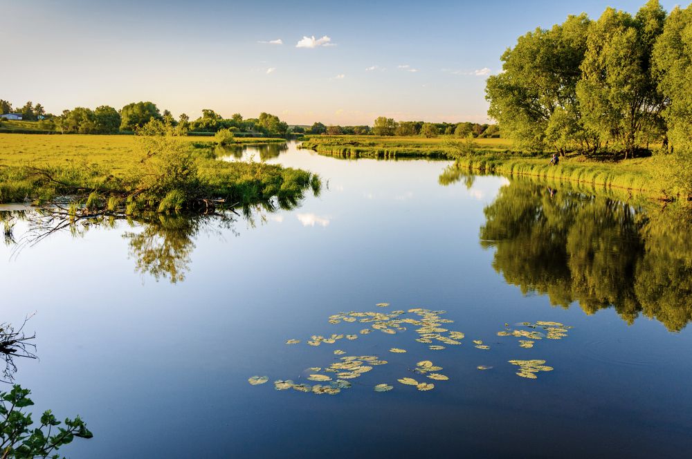 Photograph by YURIY TSARENKO