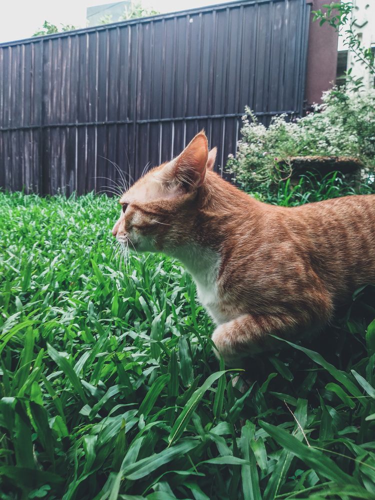 Photograph by Kumaran Dinushan