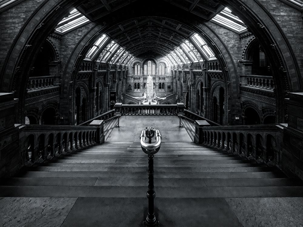 Photograph by Zhenhuan Zhou