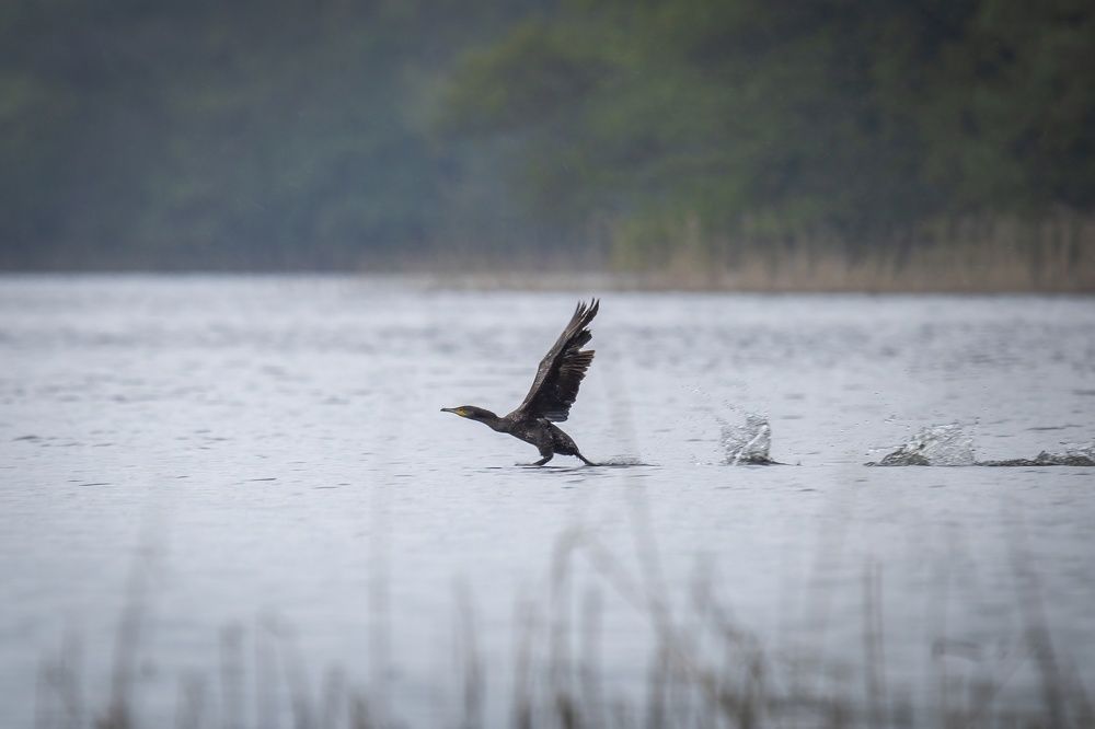 Photograph by Сергей Хабаров