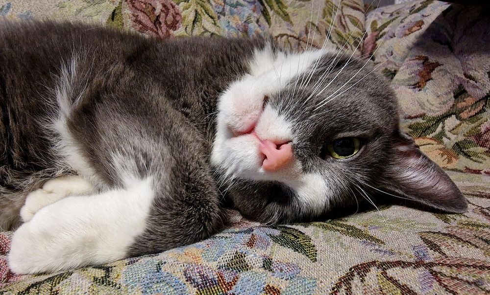 Photograph by Ljudmilla Pavljutsenkova