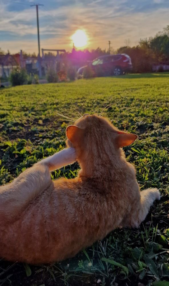 Photograph by Ljudmilla Pavljutsenkova