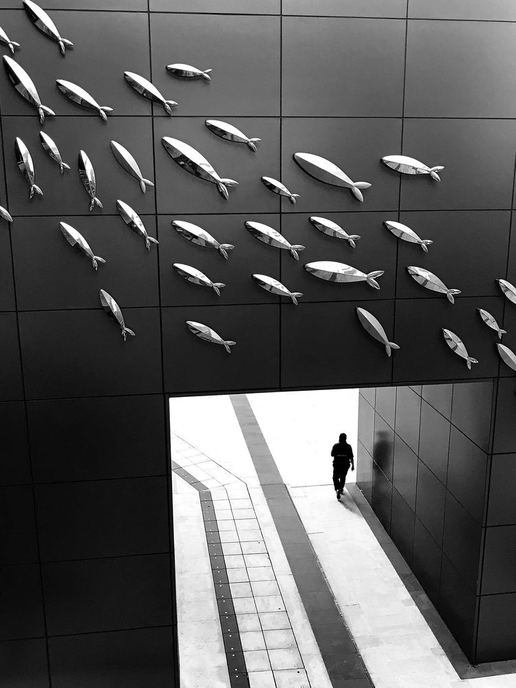 Photograph by Zhenhuan Zhou