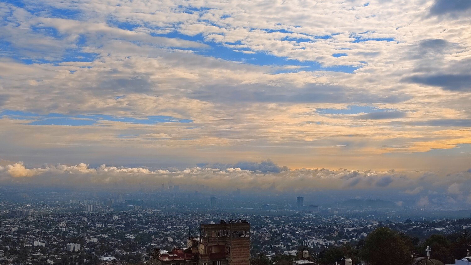 Photo #10765987