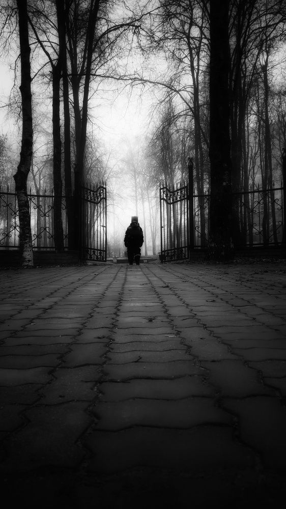 Photograph by Елена Гостева