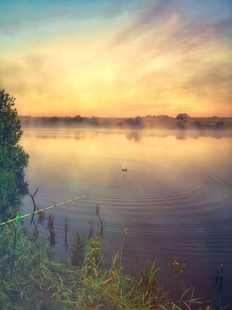 Photograph by Лапшина Владлена