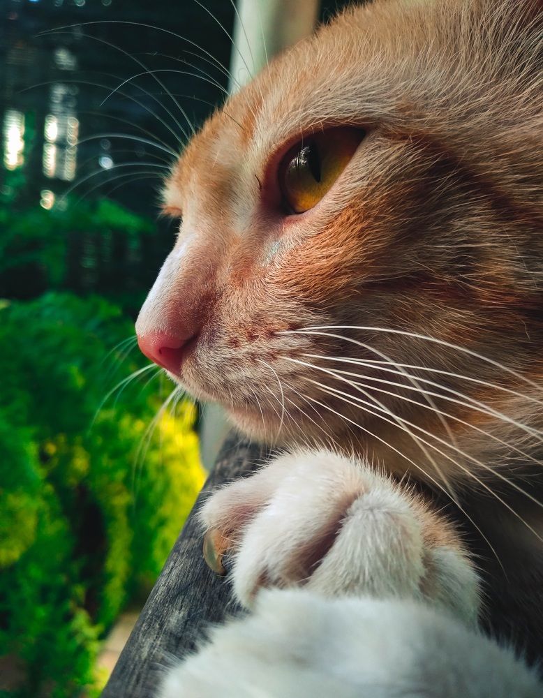 Photograph by Kumaran Dinushan