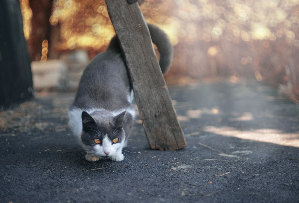 Photograph by Лапшина Владлена