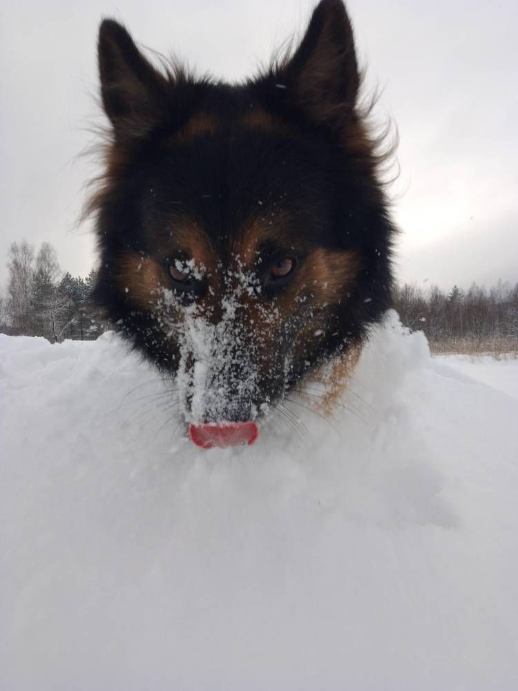 Photo #10766012