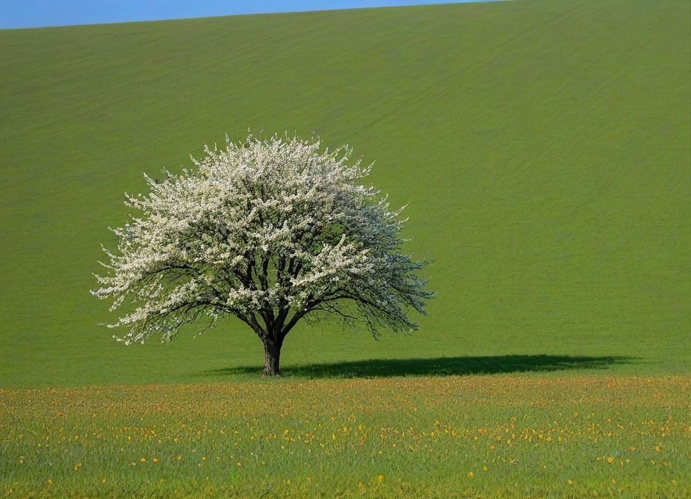 Photograph by Александра