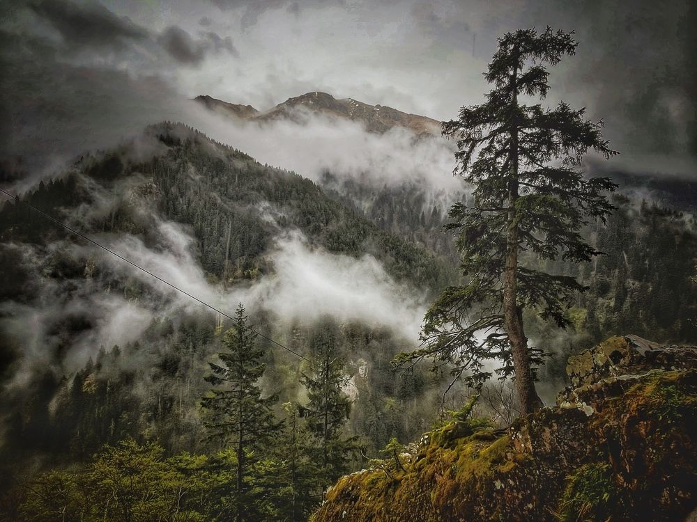 Photograph by Василий Речевский