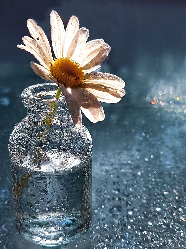 Photograph by Елена Кирикова