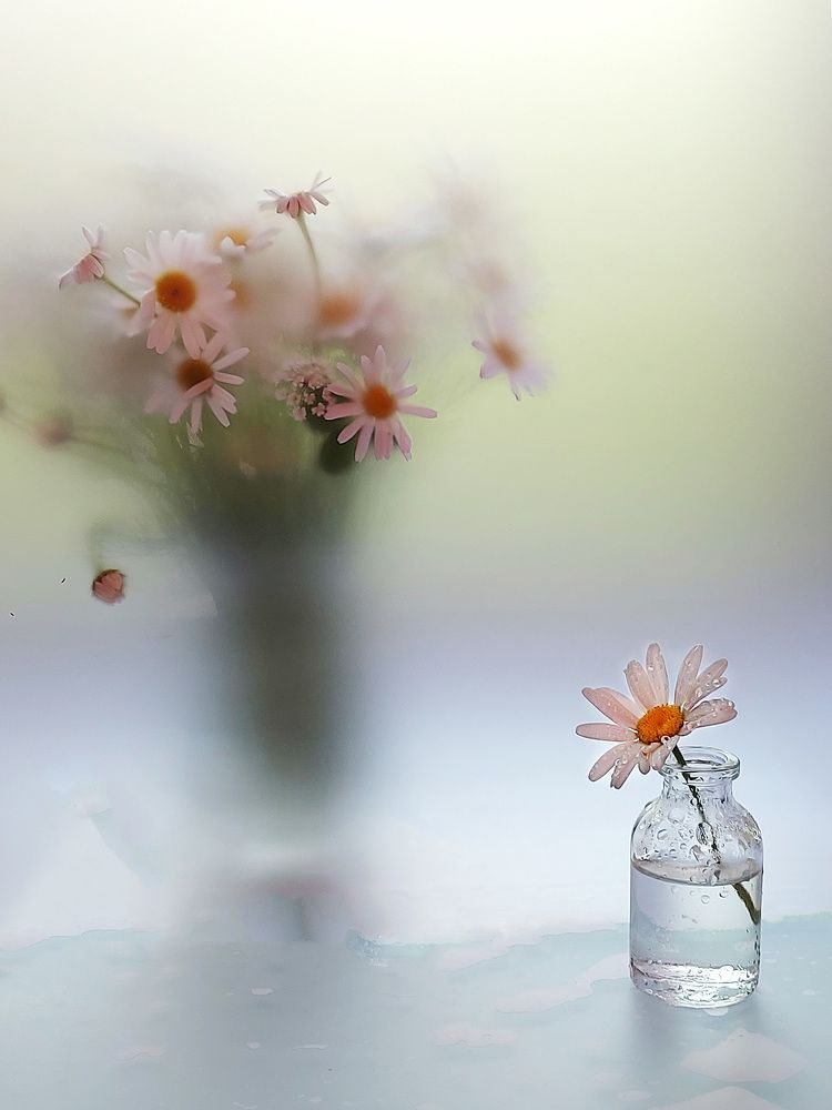 Photograph by Елена Кирикова