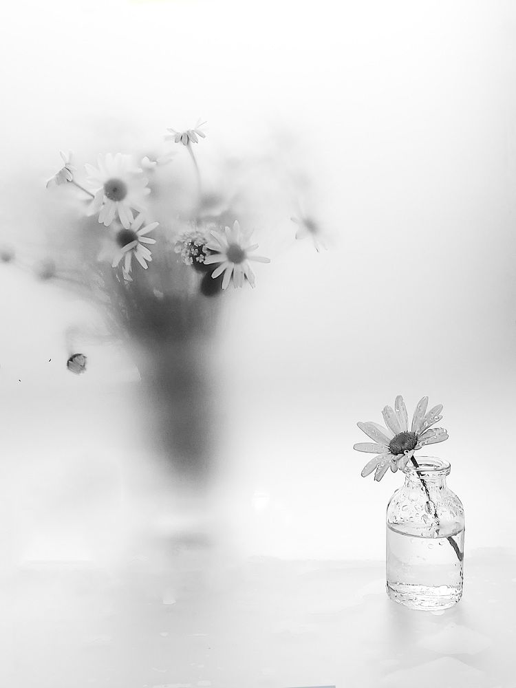 Photograph by Елена Кирикова