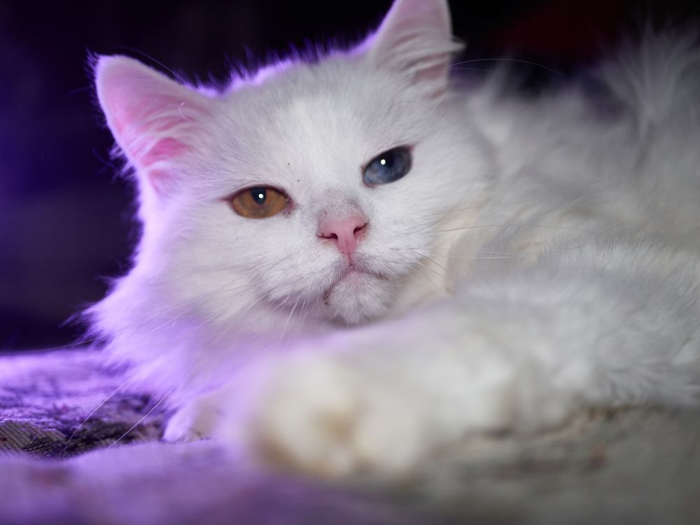 Photograph by Руслан Ибрагимов