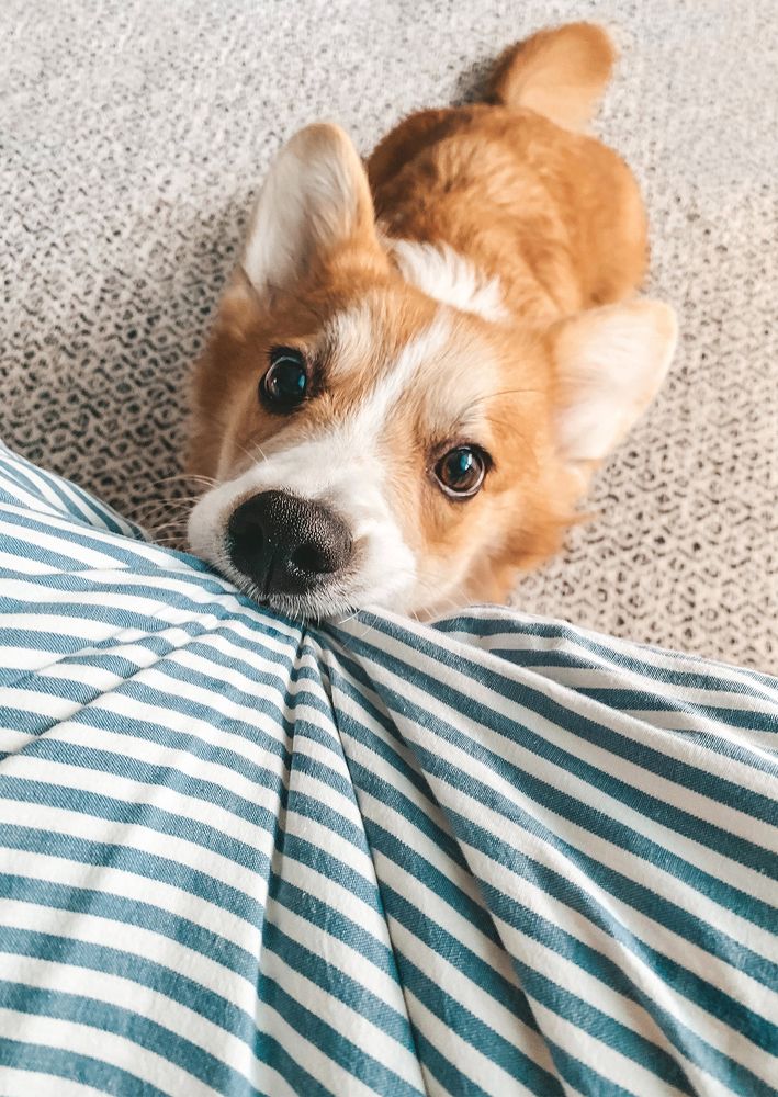 Photograph by Marina Zvada