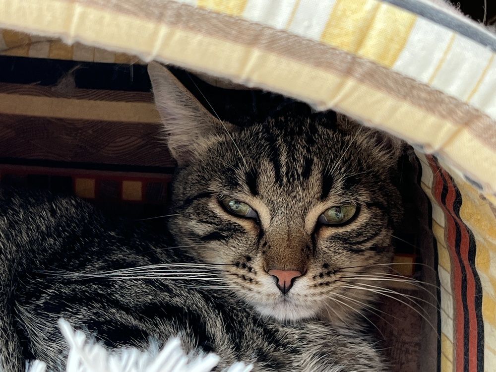 Photograph by Виктория Максюта