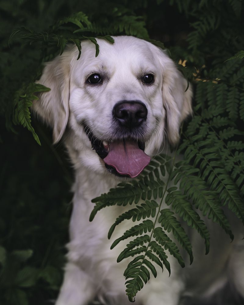 Photograph by Anna Sindikayeva