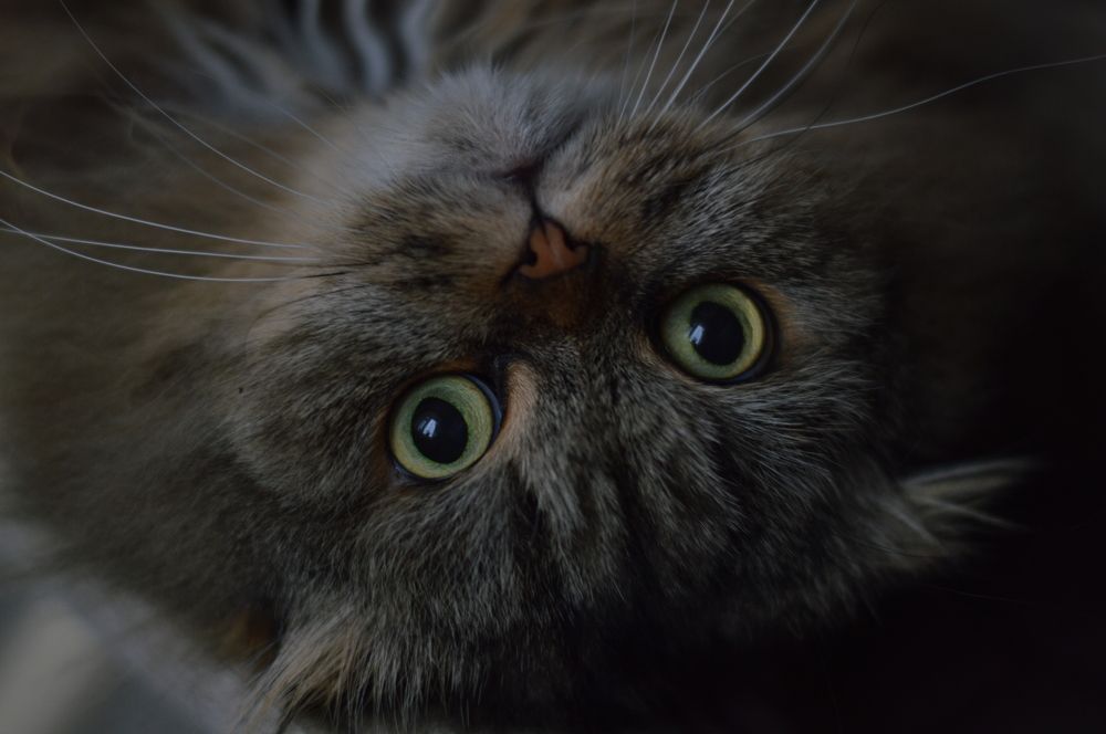 Photograph by Ангелина Ларина