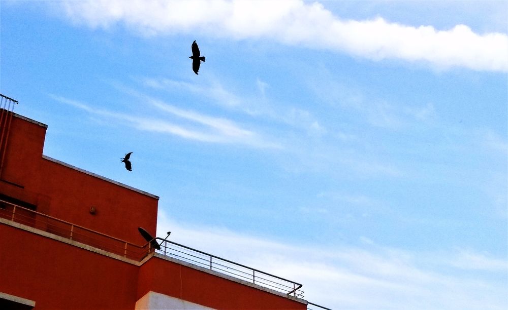 Фотография автора Nadarajan Lakshmanswamy