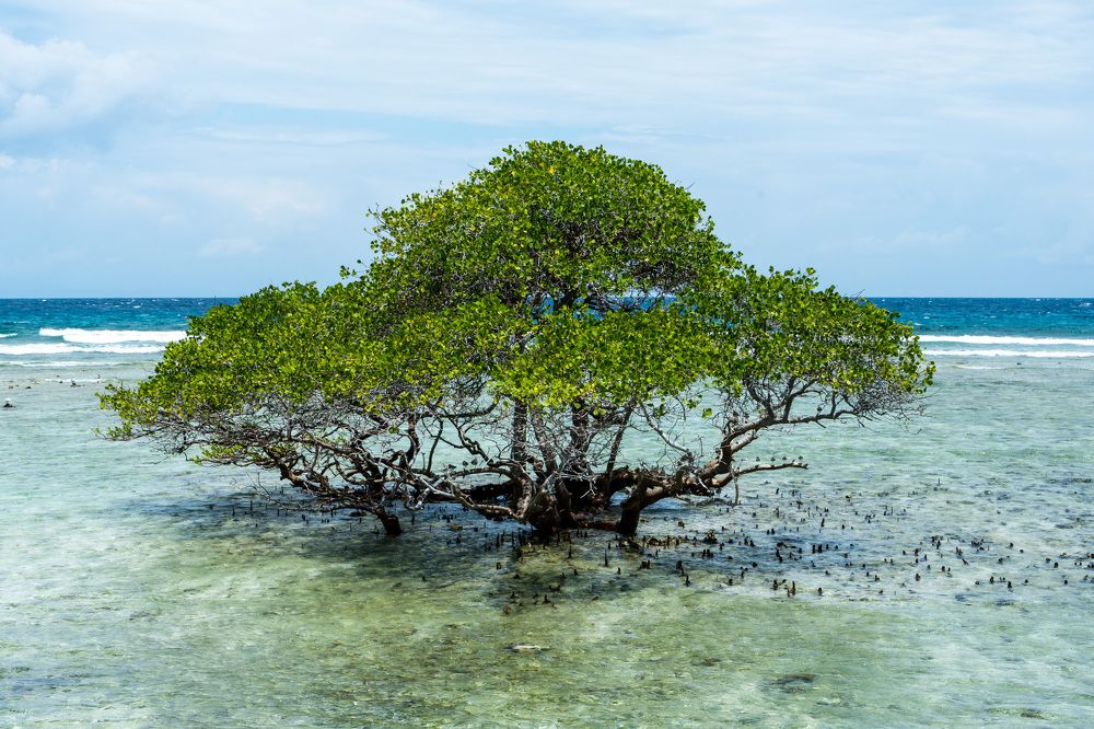 Photograph by Аркадий Старочкин