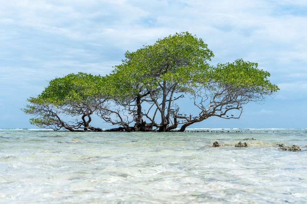 Photograph by Аркадий Старочкин