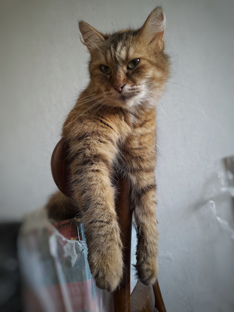 Photograph by Станислава