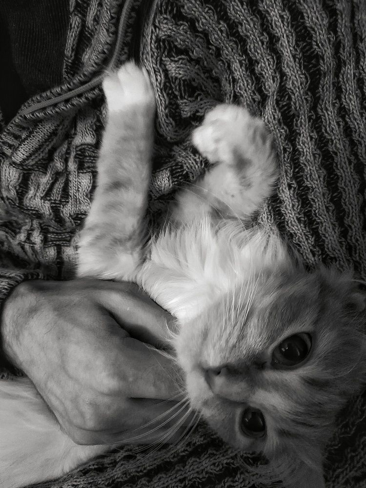 Photograph by Станислава