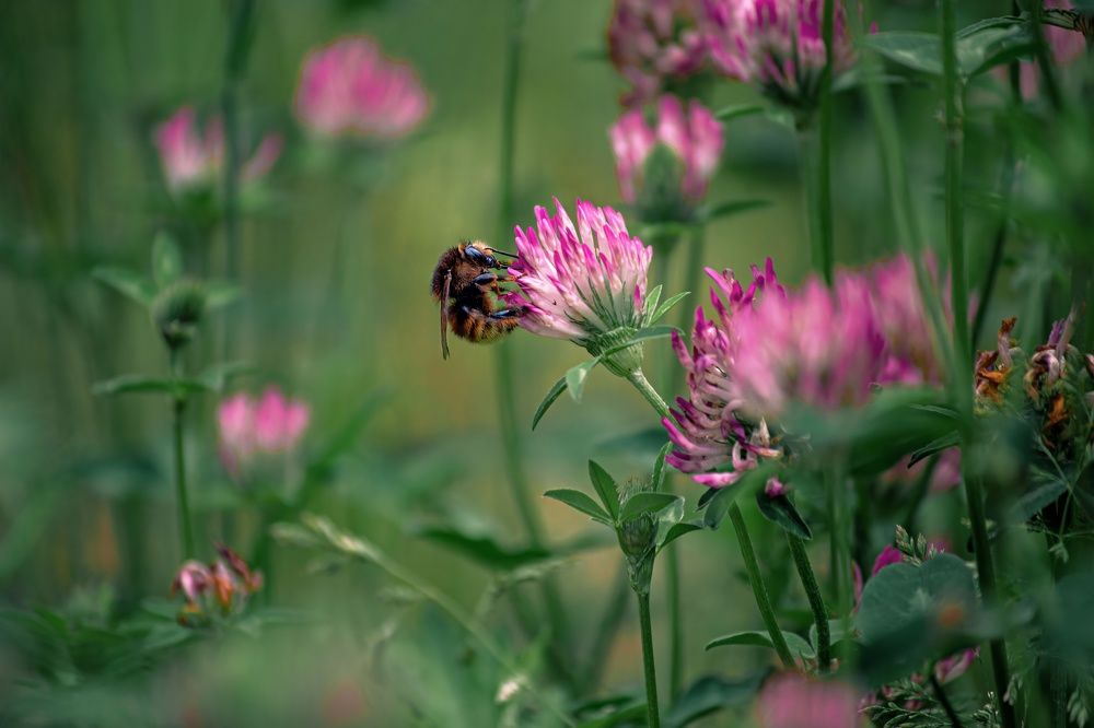 Фотография автора Алина