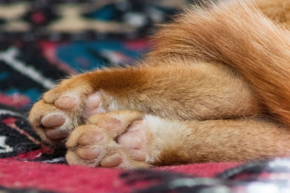 Photograph by Аркадий Старочкин