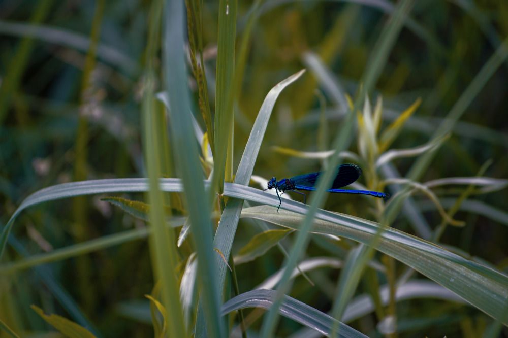 Фотография автора Алина