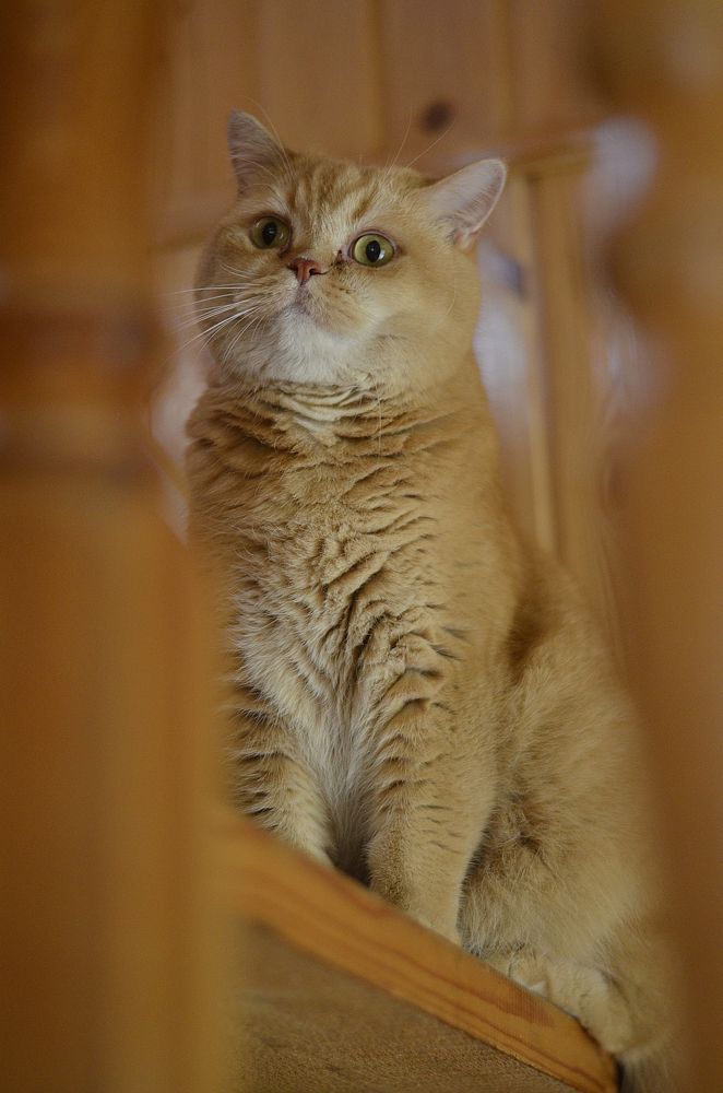 Photograph by Ирина Хламова