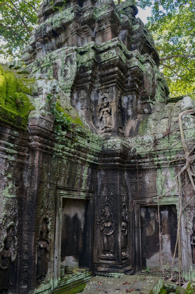 Фотография автора Светлана Зубова