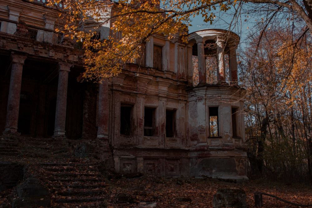 Photograph by Светлана Зубова