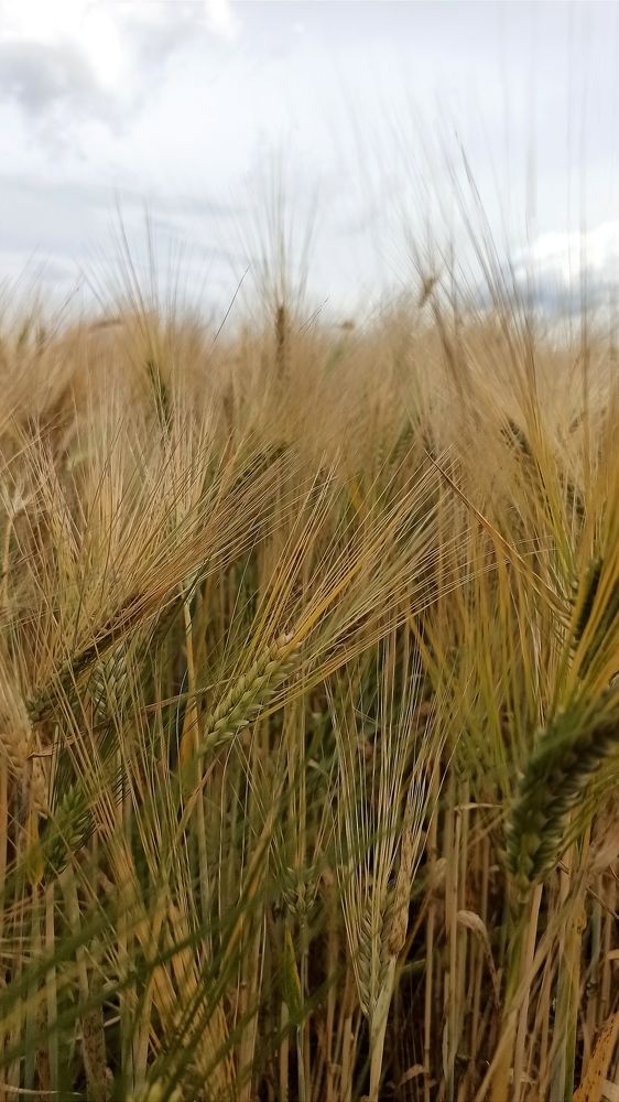 Photograph by Людмила Щуцкая