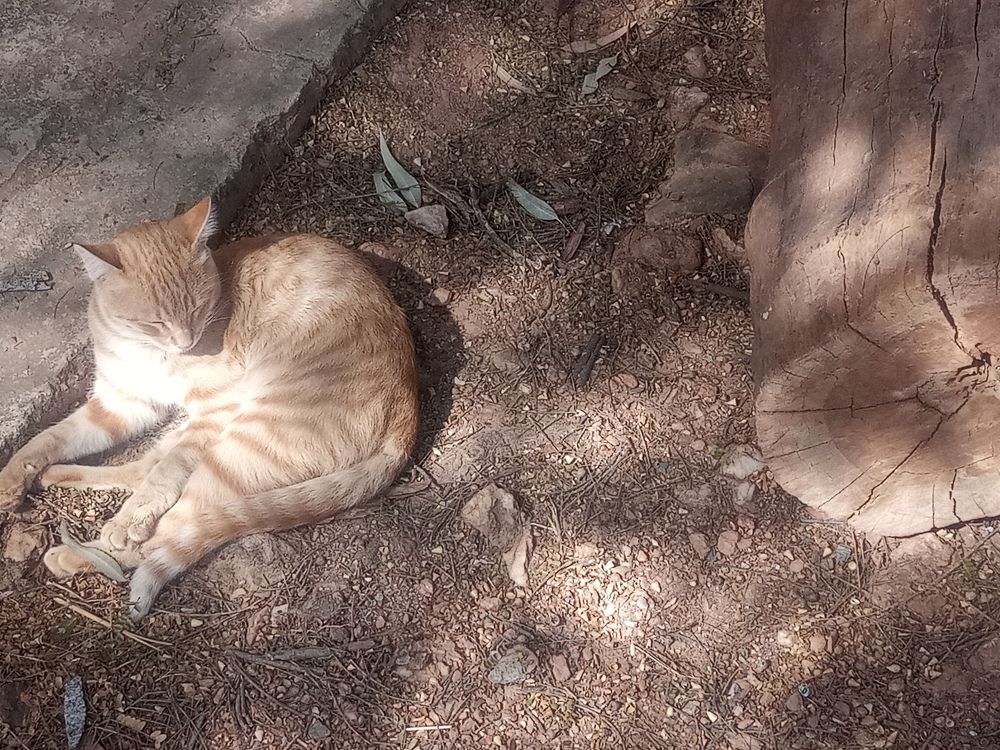 Фотография автора Edmundo Figueiredo Soares Junior