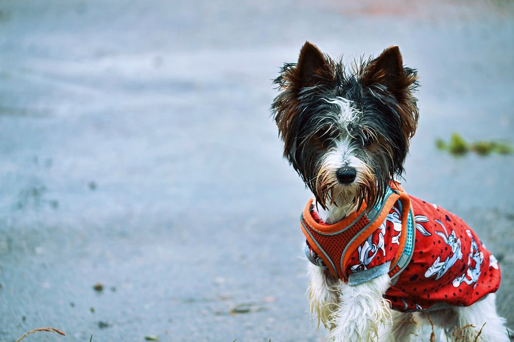 Фотография автора Алина