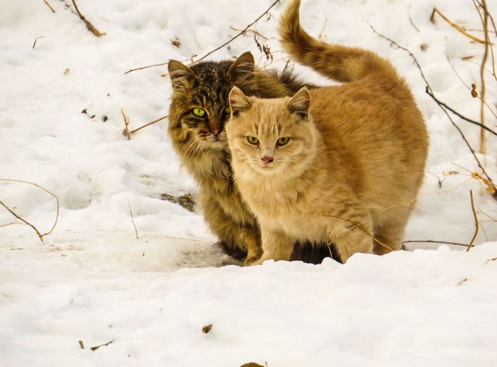 Photograph by Нина Будникова