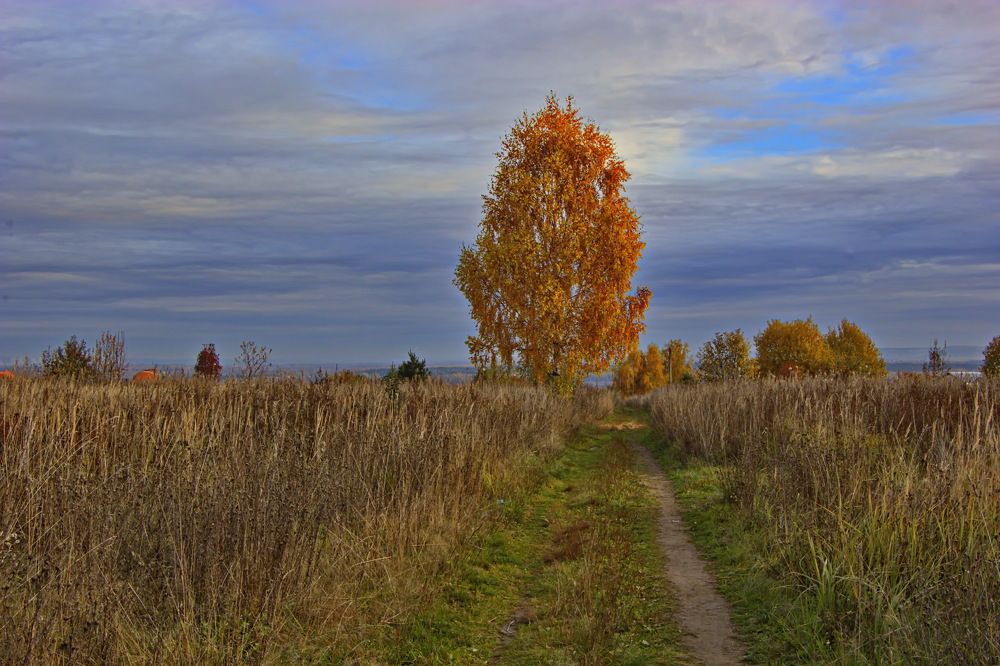 Фотография автора Анатолий Борисов