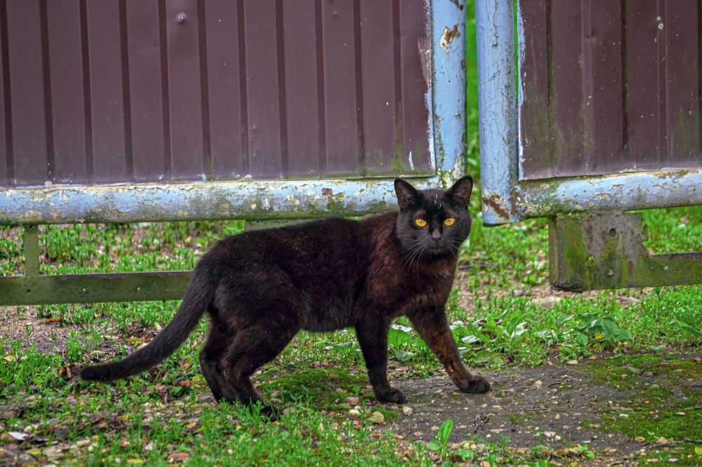 Фотография автора Алина