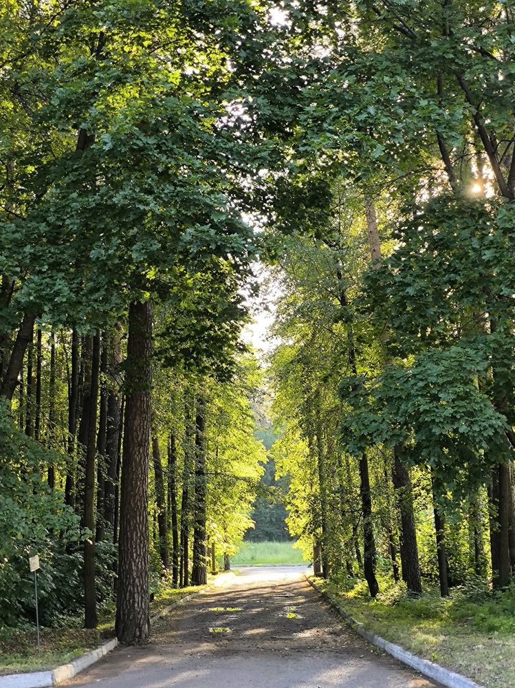 Photograph by Ирина Ященко