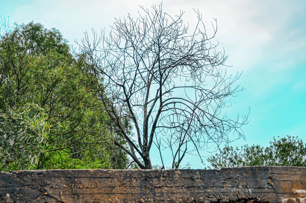 Фотография автора Алина