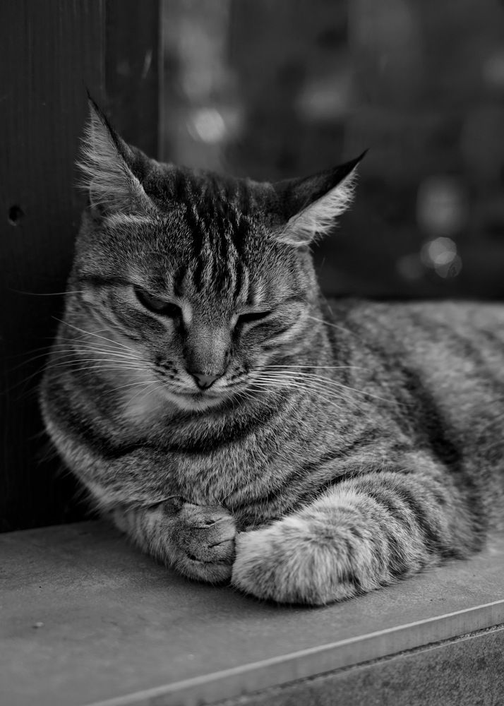 Photograph by Армен Арутюнов