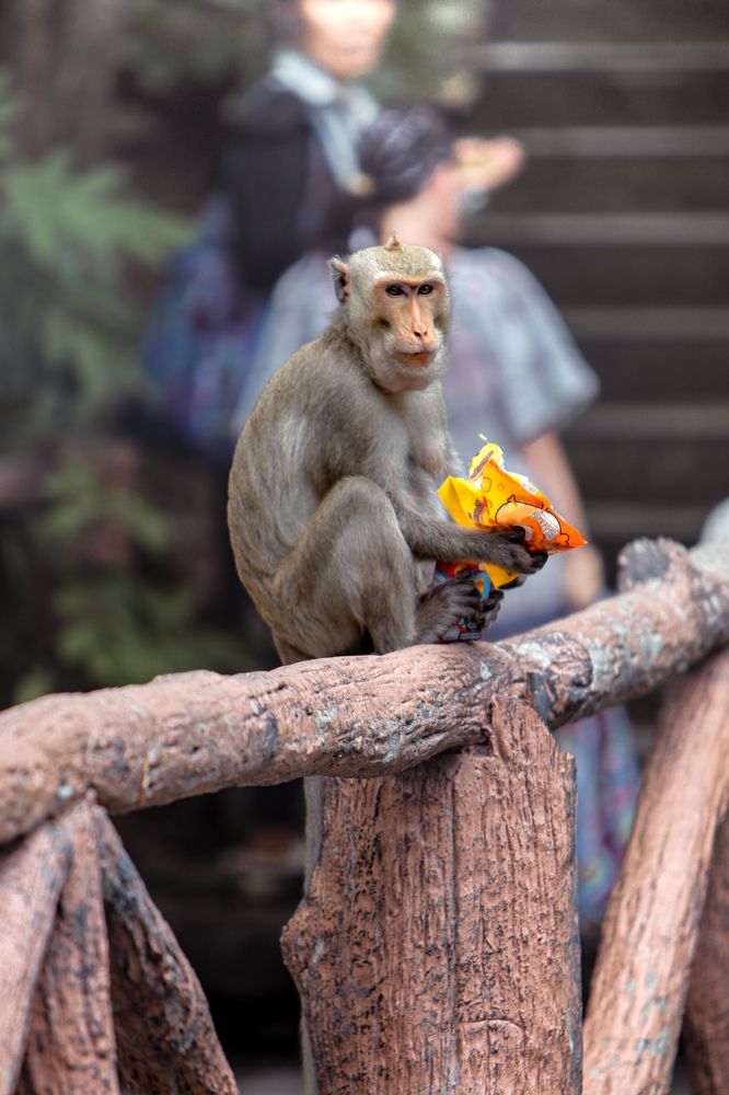 Photograph by Оксана Сафина