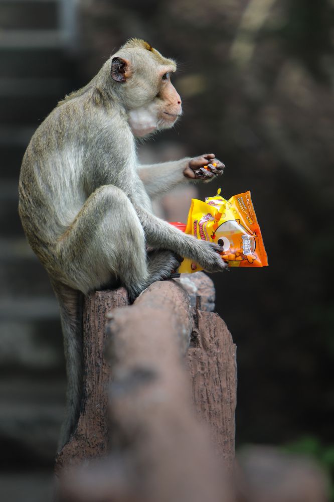 Photograph by Оксана Сафина