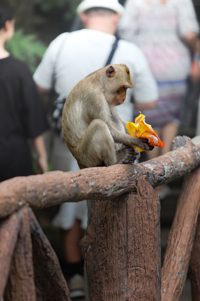 Photograph by Оксана Сафина