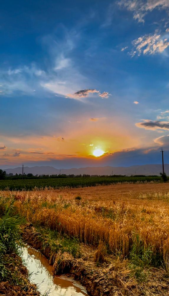 Photograph by Оксана Сафина