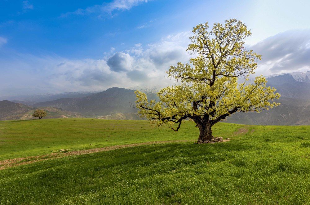 Photograph by arash radmanesh