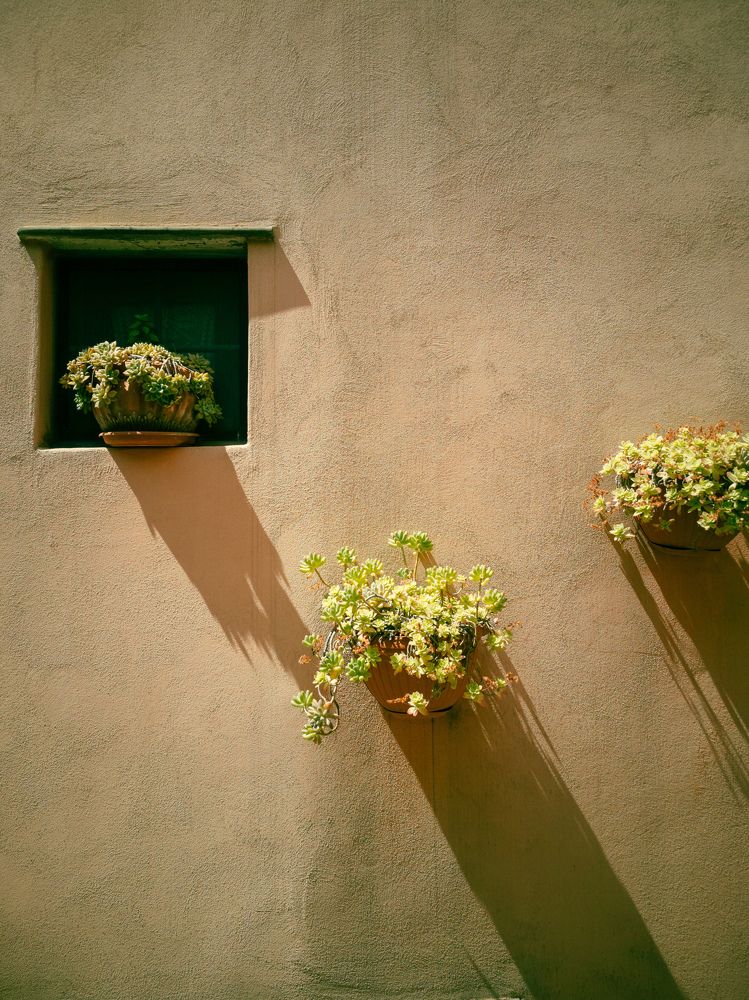 Photograph by Irina Tischer