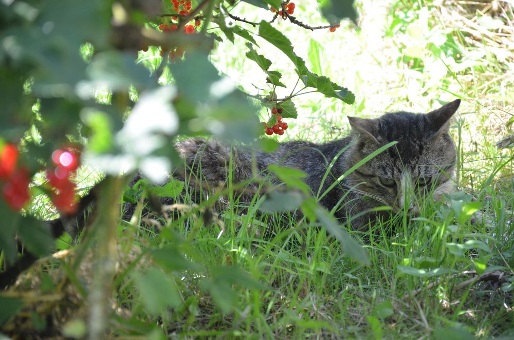 Photograph by Надежда Каравайцева